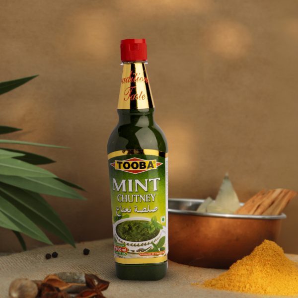 MINT CHUTNEY - Image 4